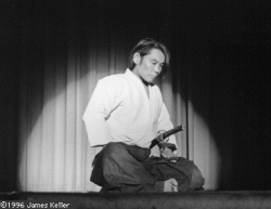 Mitsunari Kanai Shihan